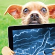 Pet food industry trends are an ever-changing landscape, but pet food experts weigh in on what they think 2017 will bring. | graphicphoto.Image from BigStockPhoto.com