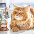 photo by KTZ | BigStockPhoto