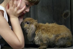 Photo by woogies, BigStock.com