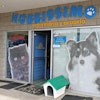 A specialty pet food store and veterinary clinic in Ensenada, Baja California, Mexico | photo by Tim Wall