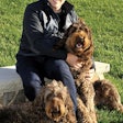 Solid Gold CEO and President Bob Rubin, here with Labradoodles Toby and Moose, has re-focused the company’s brand and message since taking the helm in 2015. | Courtesy Solid Gold Pet