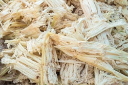 Sugarcane bagasse, the fibrous material left after juice extraction | photo by Phanuwat Nandee | BigStockPhoto