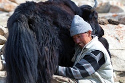 photo by Zzvet | BigStockPhoto