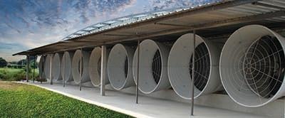 Skov Blue Fan Wall Fan