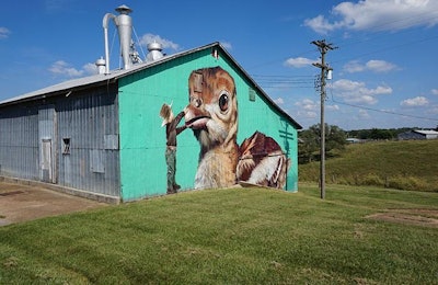 A new effort by Cargill to close the gap between farmers and consumers involved a pair of Dutch muralists who used spray paint to create this larger-than-life mural of a boy and a poult on Robertson’s barn. | Photo by Austin Alonzo