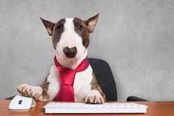 (Minerva Studio, BigStock.com)