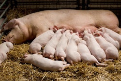 (budabar | BigStock.com)