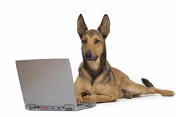 photo by Joop Snijder | BigStockPhoto