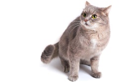 photo by webkatrin | BigStockPhoto