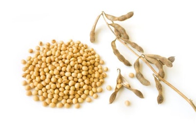 Soybean On White Background