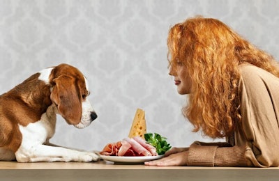 woman-dog-same-plate-food