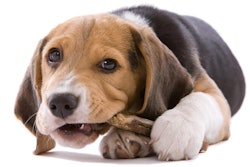 photo by Fotosmurf01, BigStock.com