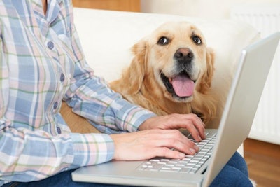 Dog With Owner On Computer