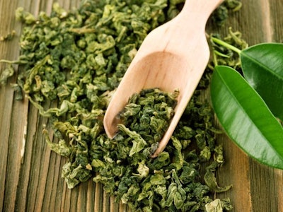 Green tea extract has been credited with many health benefits for humans. However, it had not been considered for inclusion into pet diets until the last few decades. | Subbotina Anna, Bigstock.com