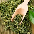 Green tea extract has been credited with many health benefits for humans. However, it had not been considered for inclusion into pet diets until the last few decades. | Subbotina Anna, Bigstock.com