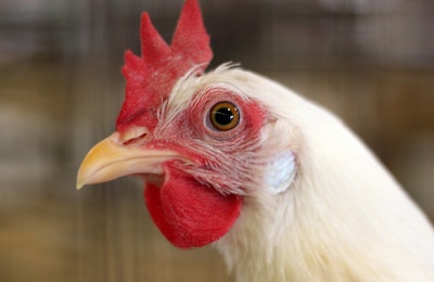 photo by Andrea Gantz