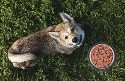 Consumers purchasing natural and organic pet foods largely fall into certain demographics, providing manufacturers with important information regarding what those consumers may be looking for within the segment. | sigma1850.Fotolia.com