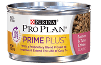 Purina-pro-7-cat