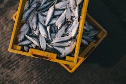 fish-shipping-fishing-boat