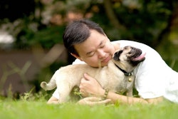 Freeimages.com | Jin Neoh