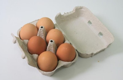 Rubensito, Freeimages.com