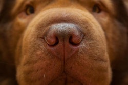Photo by taknote | BigStockPhoto