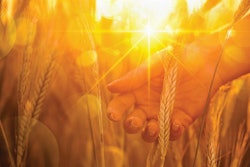 The incorporation of ancient grains could expand taste, nutritional enhancement and marketing opportunities as consumers continue to explore new options for themselves and their pets. | Maksim Pasko.Fotolia.com