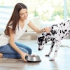 Human trends and desires are influencing the pet food industry more than ever, and manufacturers must keep up with increasing innovation and a constant ear to the ground. | Africa Studio.Adobe.com
