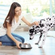 Human trends and desires are influencing the pet food industry more than ever, and manufacturers must keep up with increasing innovation and a constant ear to the ground. | Africa Studio.Adobe.com