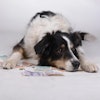 (Monkle | Bigstock.com)