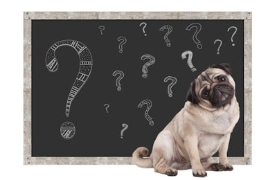 Pug With Question Marks On Chalkboard