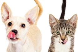 Pet owners speak for their pets when it comes to pet food choices, which introduces certain complexities in determining what pets prefer. | adogslifephoto.Fotolia.com