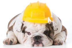 Willeecole | Dreamstime.com