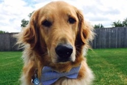 image courtesy Hill's Pet Nutrition