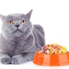 photo by Yastremska | BigStockPhoto