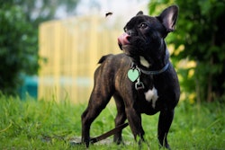 photo by kozorog | BigStockPhoto