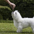 photo by Kimrawicz, Bigstock.com
