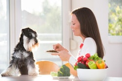 Photo by Budabar | BigStock.com