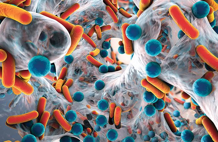 Dr_Microbe, iStockPhoto