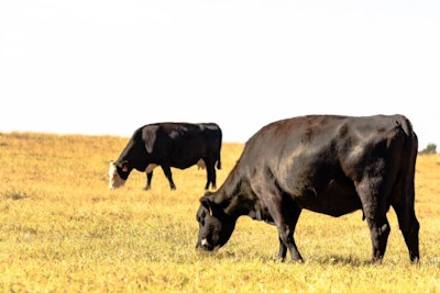 JackieNix, Bigstockphoto.com
