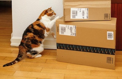 Cat Looking At Amazon Boxes
