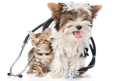 Photo by Ermolaev | Alexandr.Fotolia.com