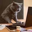 (Kovbasniuk | BigStock.com)