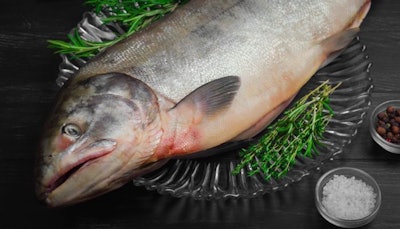 Salmon Ingredient Fish