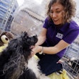 An SPCA member attends to a dog displaced by Hurricane Harvey. | photo by Brandon Wade | courtesy PetSmart Charities