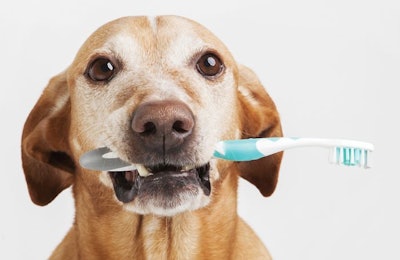 New pet dental treats are focusing on innovation and functionality to appeal to both pet owners and their animals. | milante.fotolia.com