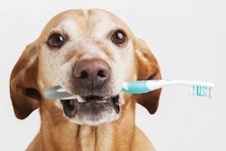 New pet dental treats are focusing on innovation and functionality to appeal to both pet owners and their animals. | milante.fotolia.com