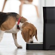 The Petnet SmartFeeder | courtesy Petnet