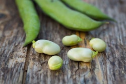 image by Sabino Parente | BigStockPhotos