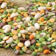 Beans could find a place in the next generation of pet food — if consumers are interested. | Darren Fisher, Dreamstime